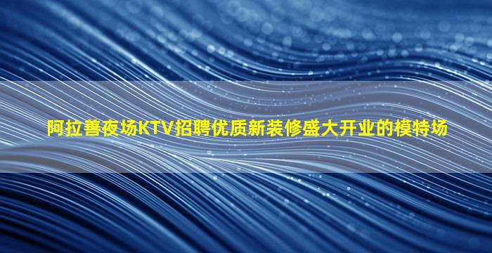 阿拉善夜场KTV招聘优质新装修盛大开业的模特场
